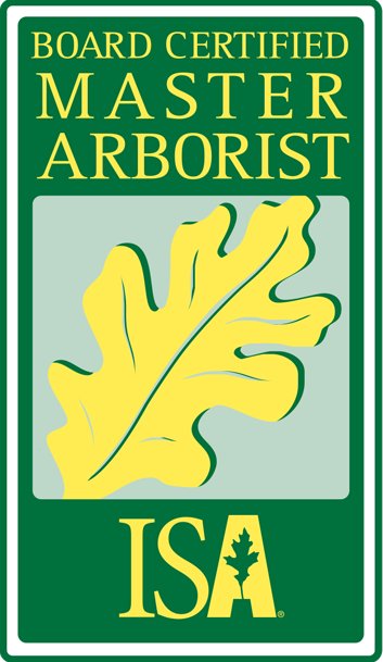ISA Board Certified Master Arborist | Anglin Brother's Tree Care | Lakeland FL | Healthy Roots