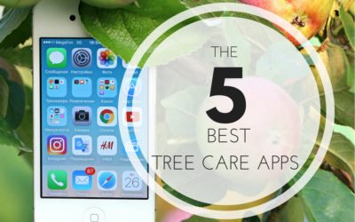 5 Best Tree Care Apps