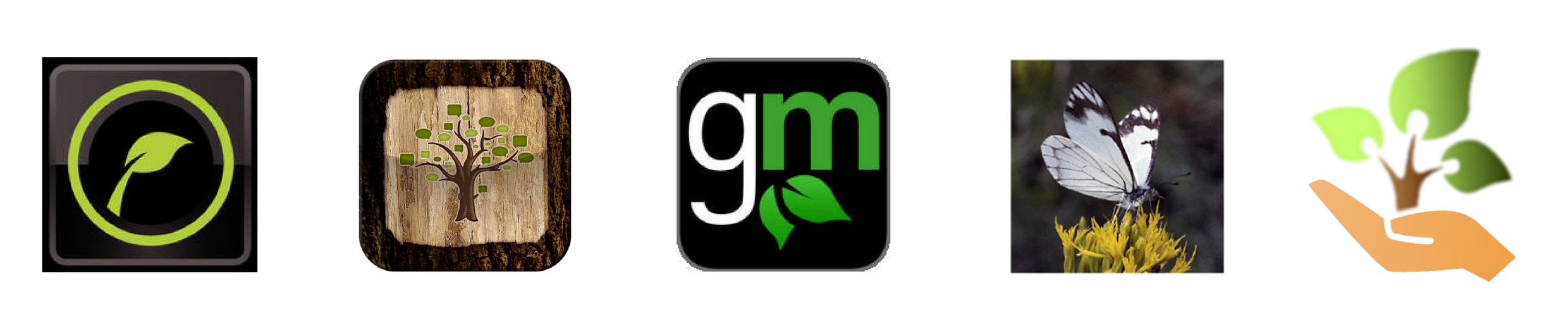 Tree Care Apps - Brauer Tree Care 