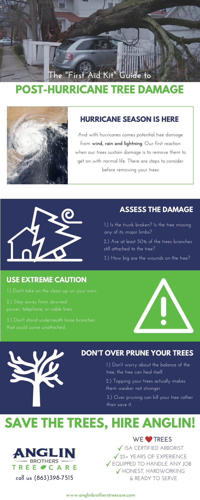 The First Aid Kit to Post-Hurricane Tree Damage - Brauer Tree Care