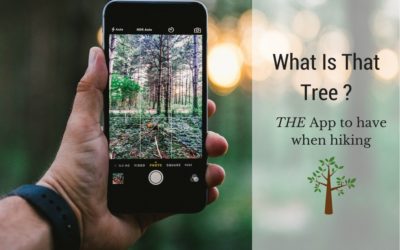 What Is That Tree App – Tree Identification Guide