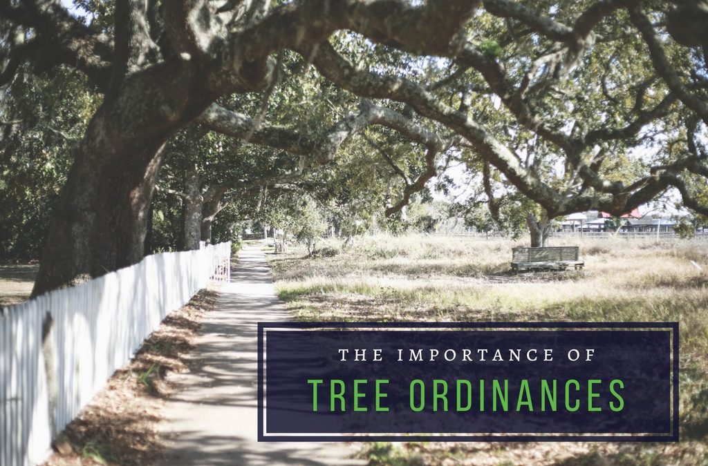 The Importance of Tree Ordinances