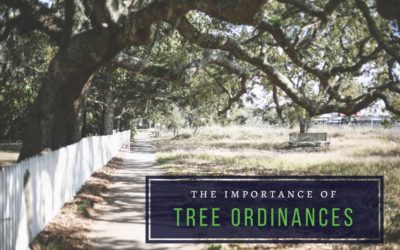 The Importance of Tree Ordinances