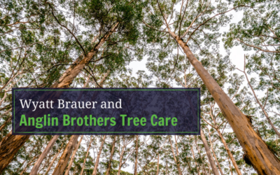 Wyatt & Anglin Brothers Tree Care
