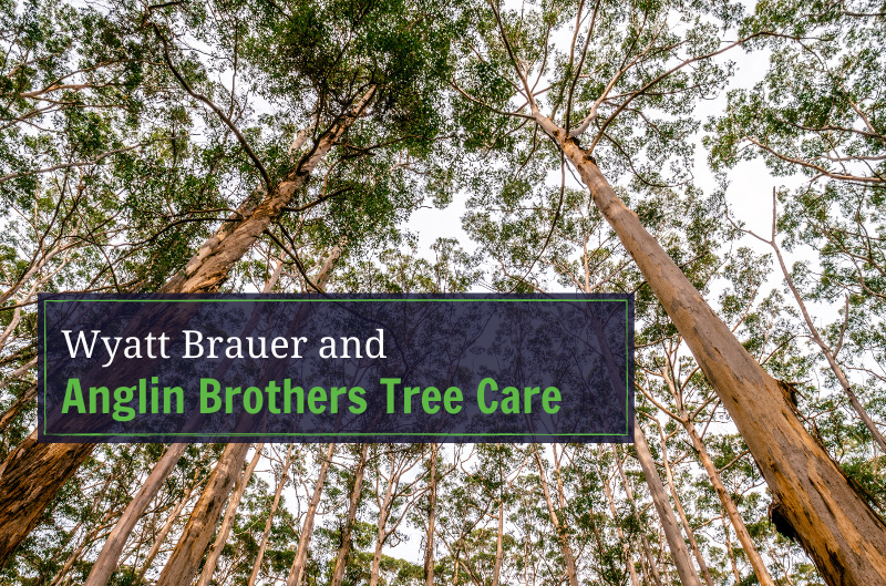 Wyatt & Anglin Brothers Tree Care