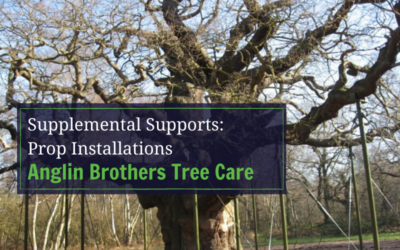 Supplemental Supports: Prop Installations